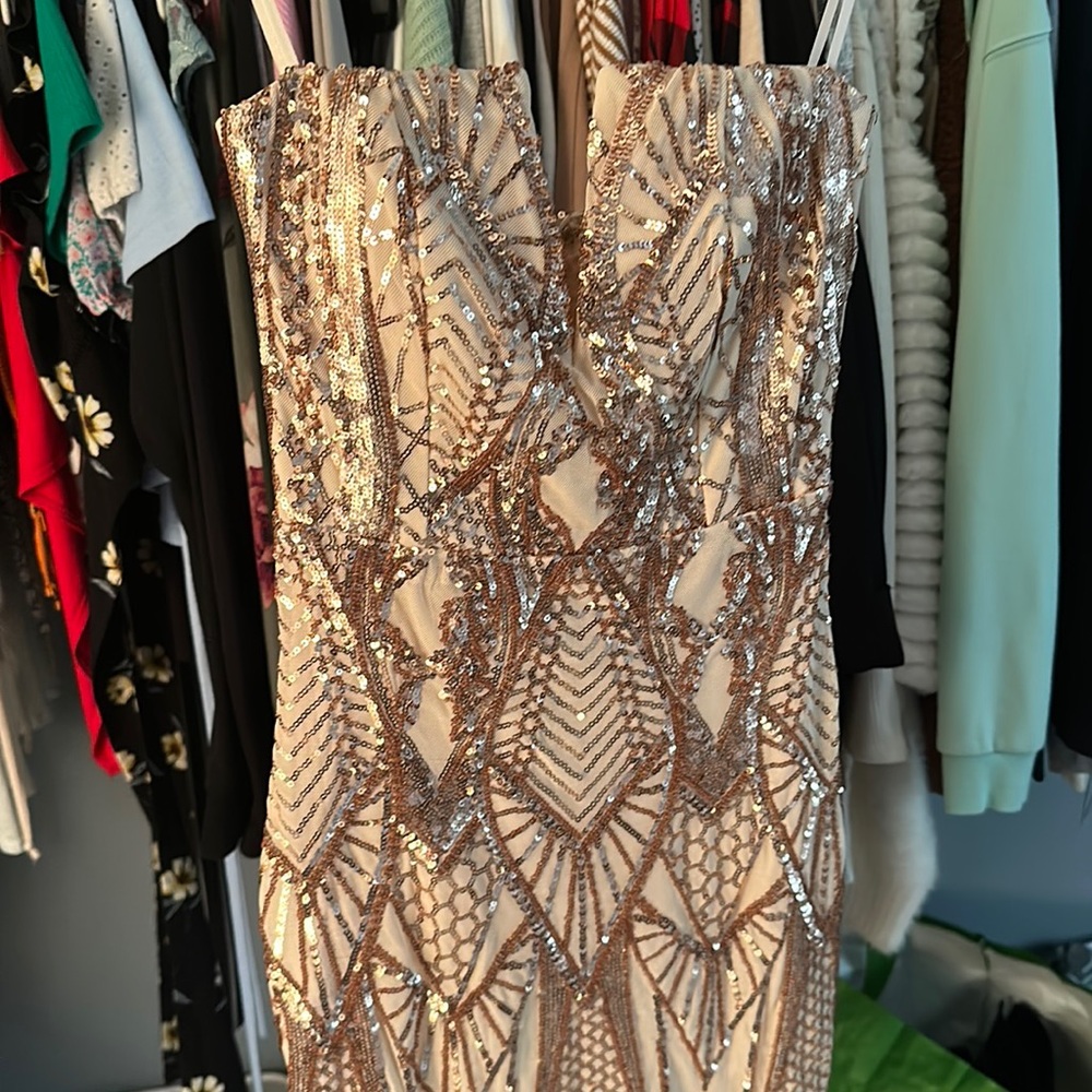 Fashion nova slim fit mini dress.